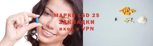 ПСИЛОЦИБИНОВЫЕ ГРИБЫ Пролетарск
