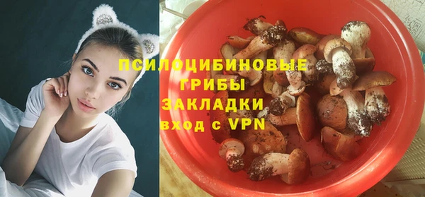 СК Балахна