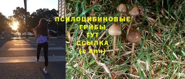 СК Балахна